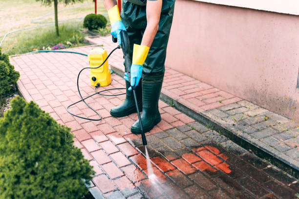 Best Driveway Cleaning and Restoration in New York Mills, MN